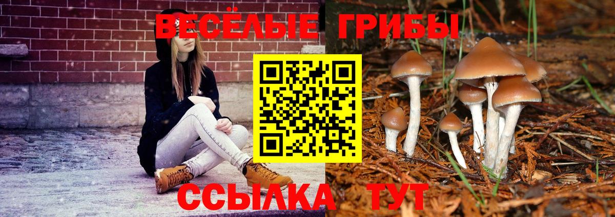 Грязи  Галлюциногенные грибы прущие грибы  Псилоцибиновые грибы мицелий  Вход с VPN 